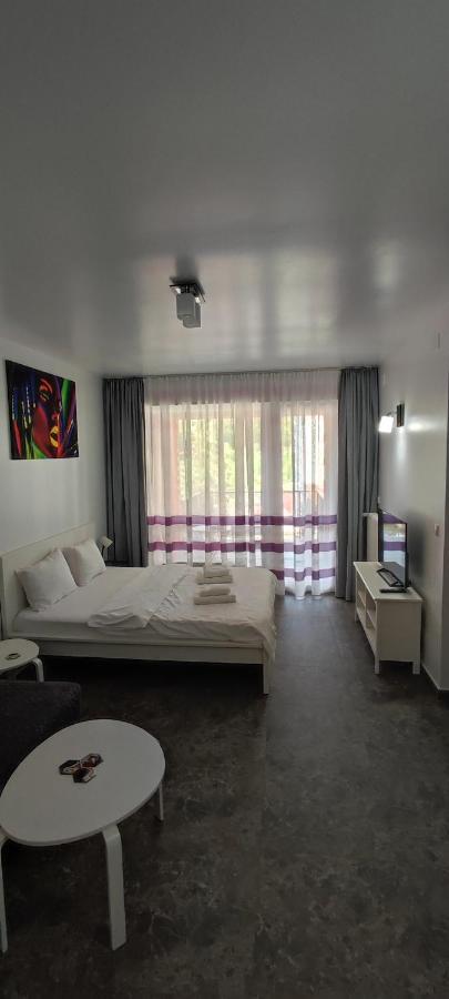 Ferienwohnung Belle View Sinaia Exterior foto